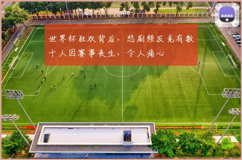 世界杯狂欢背后，悲剧频发竟有数十人因赛事丧生，令人痛心