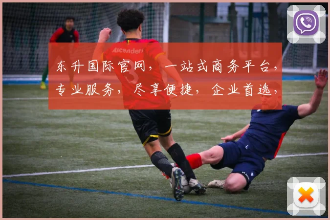 东升国际官网，一站式商务平台，专业服务，尽享便捷，企业首选，值得信赖，官网直达