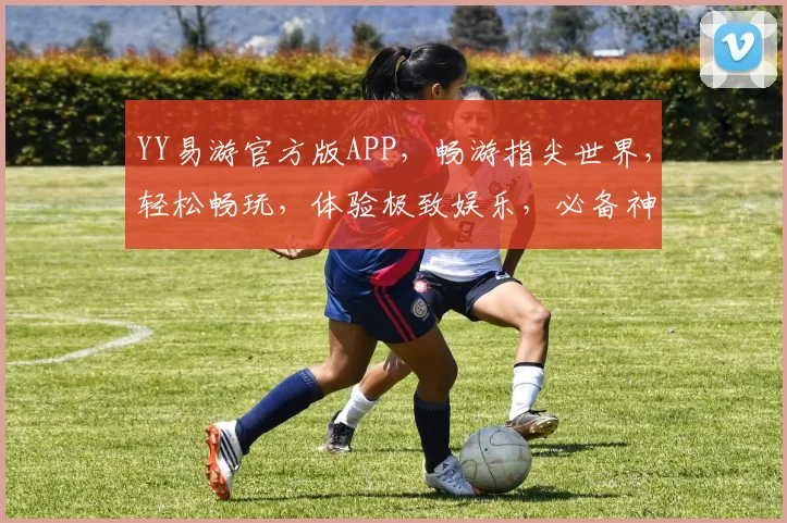 YY易游官方版APP，畅游指尖世界，轻松畅玩，体验极致娱乐，必备神器，一触即达