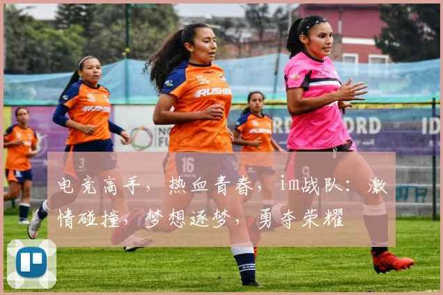 电竞高手，热血青春，im战队：激情碰撞，梦想逐梦，勇夺荣耀