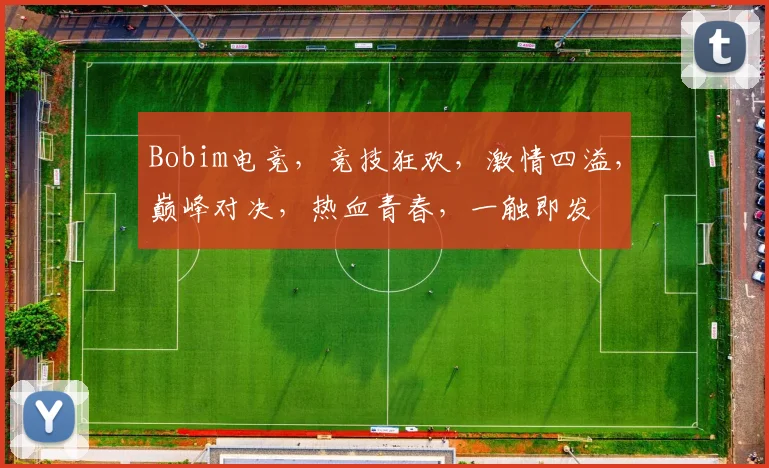 Bobim电竞，竞技狂欢，激情四溢，巅峰对决，热血青春，一触即发